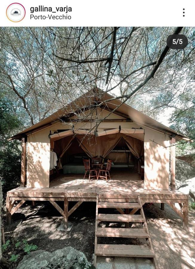 Camping Gallina Varja سوتا المظهر الخارجي الصورة